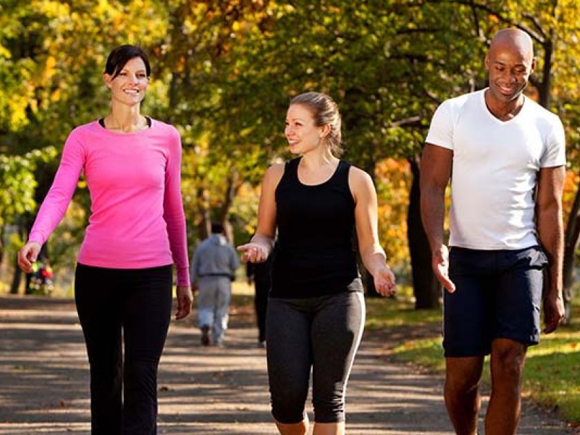 Facts About Vitamin B12